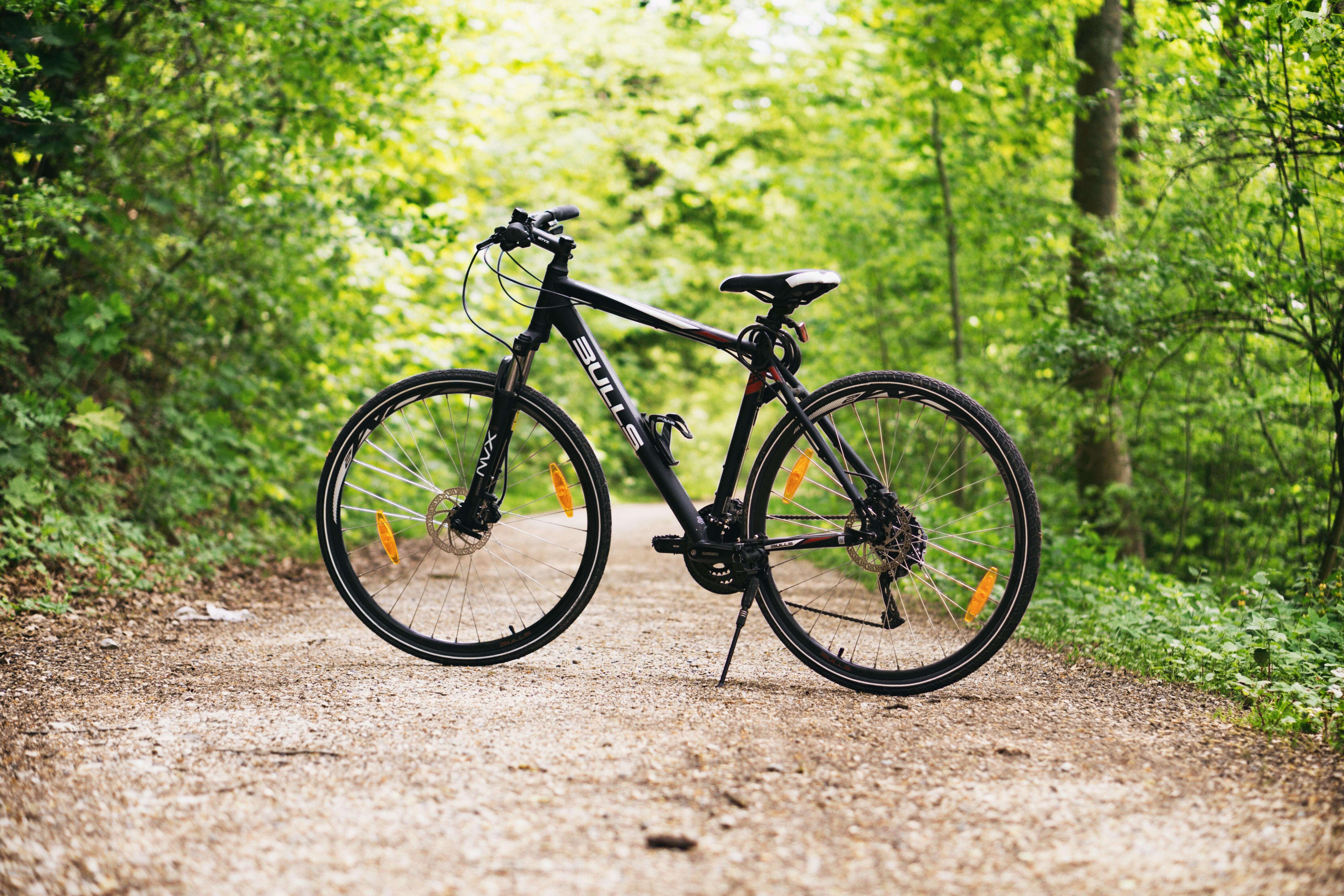 bike in the woods